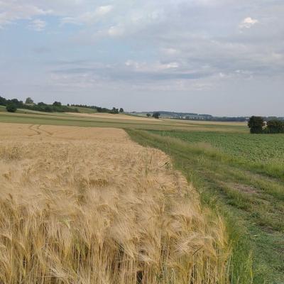 Randonnée à Expiremont 08 juin 2023